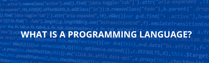 What is a programming language