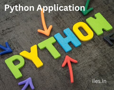 Python in the Real World: Practical Application - iies