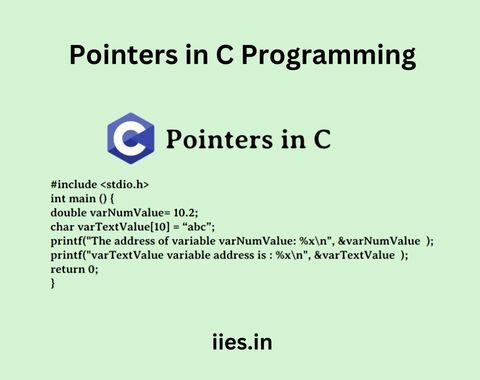 Mastering the Pointers: A Guided Tour in C Programming - iies