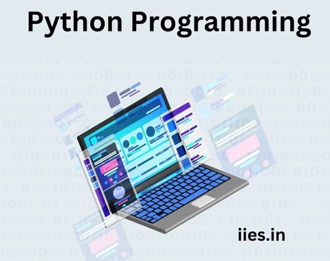 Unlocking the Magic of Python Programming for Web Development - iies