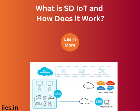 What is SD IoT and How Does it Work?