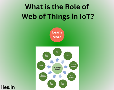 What is the Role of Web of Things in IoT?