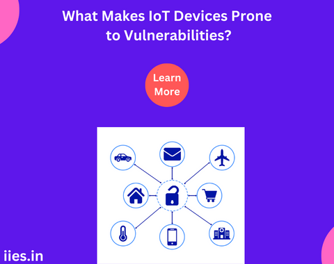 What Makes IoT Devices Prone to Vulnerabilities?