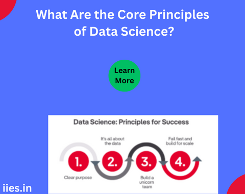 What Are the Core Principles of Data Science?