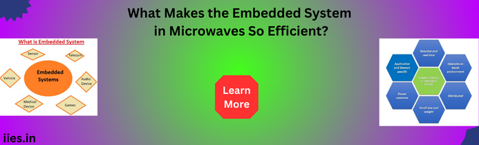 What Makes the Embedded System in Microwaves So Efficient?