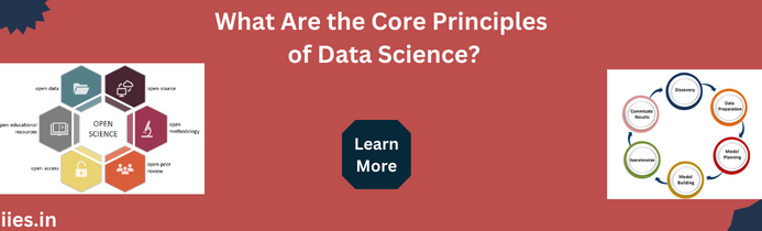 What Are the Core Principles of Data Science?