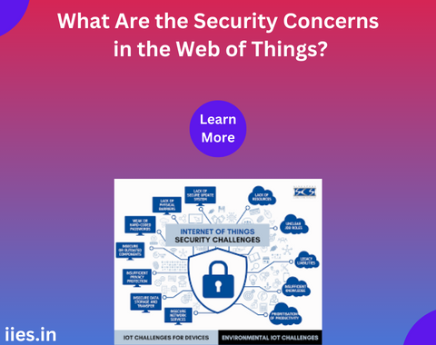 What Are the Security Concerns in the Web of Things?