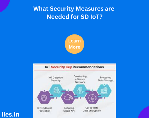 What Security Measures are Needed for SD IoT?