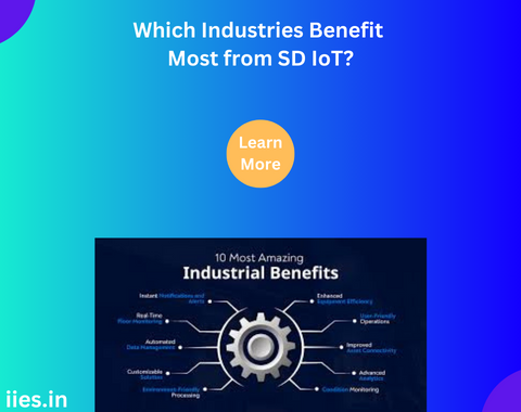 Which Industries Benefit Most from SD IoT?