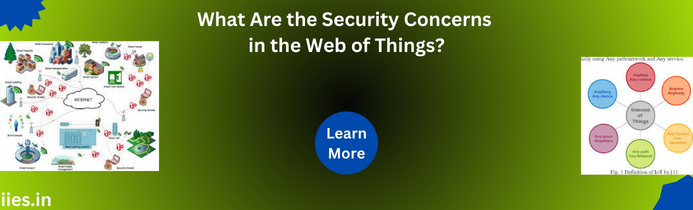 What Are the Security Concerns in the Web of Things?