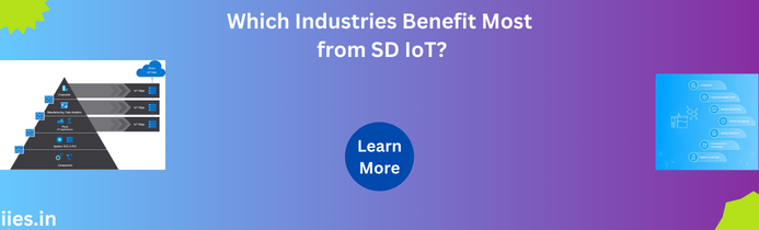 Which Industries Benefit Most from SD IoT?