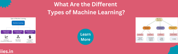 What Are the Different Types of Machine Learning?