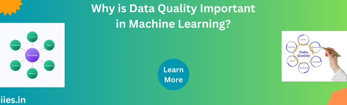 Why is Data Quality Important in Machine Learning?