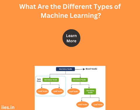 What Are the Different Types of Machine Learning?