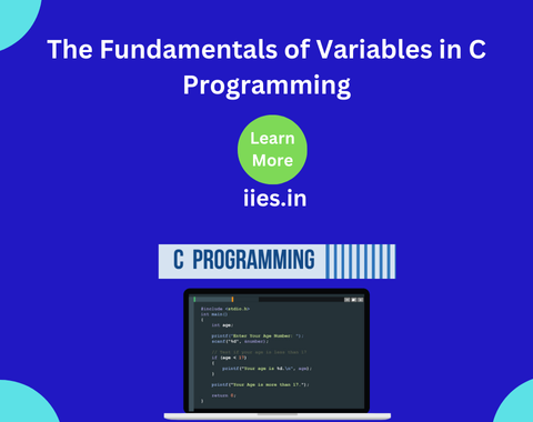 The Fundamentals of Variables in C Programming