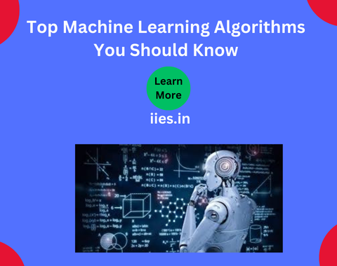 Top Machine Learning Algorithms You Should Know